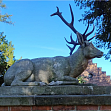 Jagd, F�rstenherrschaft und aufgekl�rte �ffentlichkeit